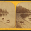 Ship Yard Bay, from the east, Highgate Springs.