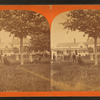 View of people in front of houses (some sitting under the tree).