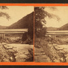 View of a covered bridge.