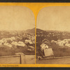 Brattleboro, Vt., from Prospect Hill.