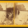 Whetstoke Brook, Brattleboro, Vt.