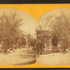 Main Street from residence of Mr. F. W. Harris.