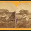 Bird's-eye view [of] Alburgh hotel.