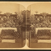 Easter 1880. Burlington, Vt.