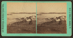 Steam mill and Indian Point, from Prospect Hill, Newport, Vt.