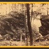 Bingham's Rock.