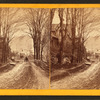 Street view, Montpelier, Vt.