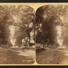 Main Street, Northfield.