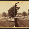 Looking down Main Street, Northfield.