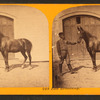 Man holding horse in front of stable door.