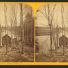 Vermont Springs, (from the bank), Sheldon, Vt.