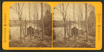 Vermont Springs, (from the bank), Sheldon, Vt.