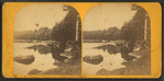 Up the Missisquoi River, from the Vermont Spring, Sheldon.