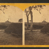 Fortress Monroe: the gun yard.