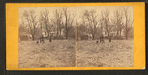 McCool's house, Wilderness battlefield.