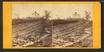 Stone wall at Marie's [Marye's] Heights held by civil [Confederate] forces during Wilderness fight.