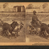 A stylish Virginia turnout, [showing African American boy in goat cart].