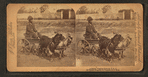 A stylish Virginia turnout, [showing African American boy in goat cart].