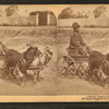 A stylish Virginia turnout, [showing African American boy in goat cart].