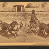 A stylish Virginia turnout, U.S.A. [showing African American boy in goat cart].