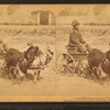A stylish Virginia turnout, U.S.A. [showing African American boy in goat cart].