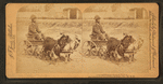 A stylish Virginia turnout, U.S.A. [showing African American boy in goat cart].