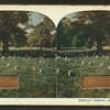 Soldiers' grave, Arlington.