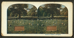 Soldiers' grave, Arlington.