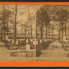 Soldier's Cemetery, Arlington.