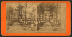 Soldier's Cemetery, Arlington.