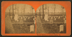 National cemetery at Arlington Heights, Va.