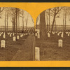 The Arlington national, cemetery, at Arlington, Va.