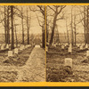 National cemetery, Arlington, Va.