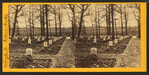 National cemetery, Arlington, Va.