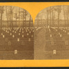 National cemetery, Arlington, Va.