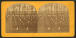 National cemetery, Arlington, Va.