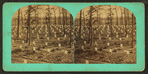 The National cemetery, Arlington, Va.