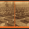 National cemetery, Alexandria, Va.