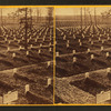National cemetery. Arlington, Va.