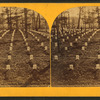 National cemetery, Arlington, Va.