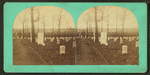 The Arlington National cemetery at Arlington, Va.