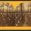 National cemetery, Arlington, Va.