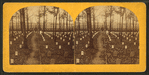 National cemetery, Arlington, Va.