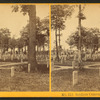 Soldiers' cemetery, Arlington.