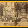 Soldiers' cemetery, Arlington.