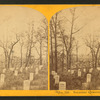 Soldiers' cemetery, Arlington.