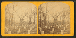 Soldiers' cemetery, Arlington.