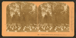 Cemetery, soldiers' home, Washington, D.C., U.S.A.