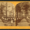 Soldiers' cemetery, Arlington.