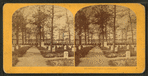 Soldiers' cemetery, Arlington.
